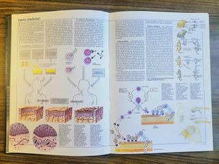 ENCICLOPEDIA DE LA CIENCIA Y DE LA TÉCNICA