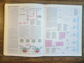 ENCICLOPEDIA DE LA CIENCIA Y DE LA TÉCNICA