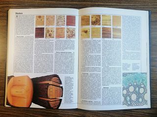 ENCICLOPEDIA DE LA CIENCIA Y DE LA TÉCNICA