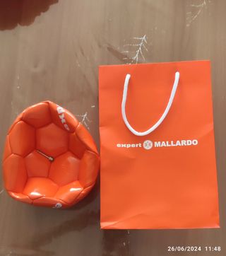 Pallone Expert 