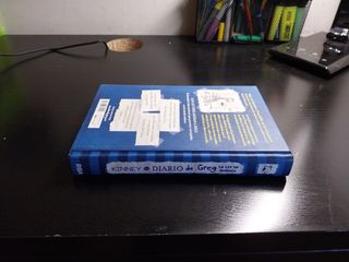 Diario de Greg 2
