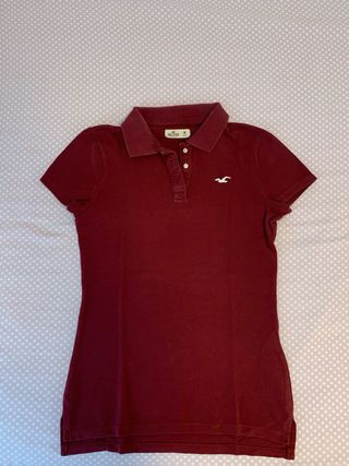 Polo Hollister