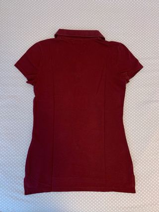 Polo Hollister