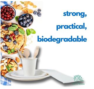 Servizio tavola feste 175 pezzi bio 25 ospiti