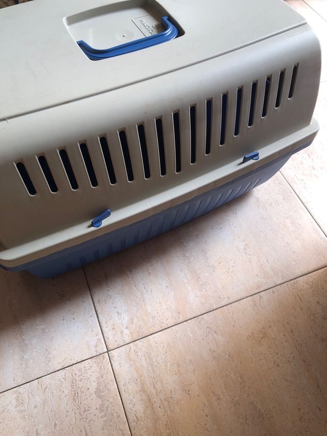 transportin homologado mediano