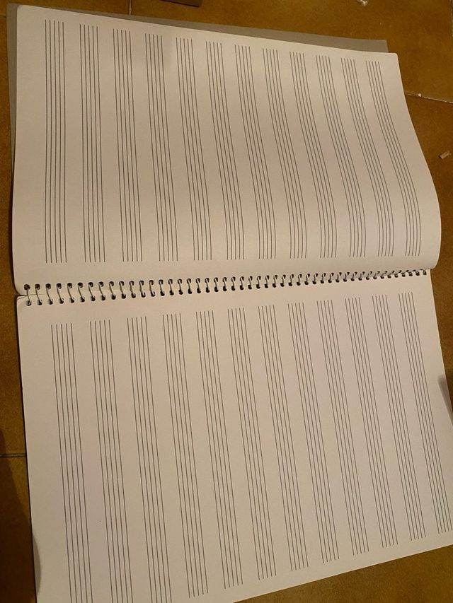 libro 1 y 2 de flauta Pearson