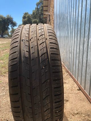 Neumaticos 205/55 R16