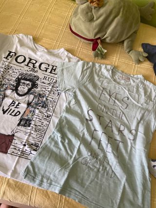 camisetas niño de zara 3€ cada una