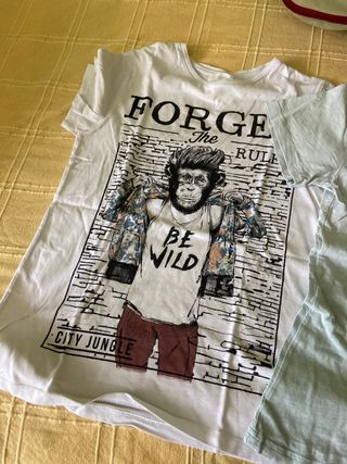 camisetas niño de zara 3€ cada una