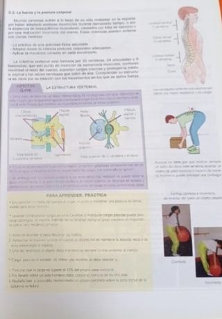 Educación Física. ESO