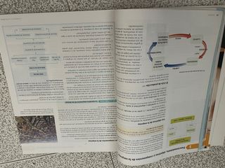 Libro economia 1 de bachillerato