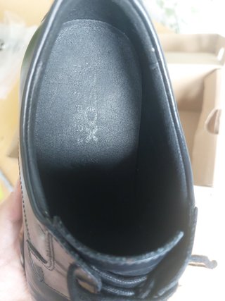 Zapatos Geox