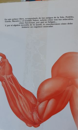 Lote 25 Érase una vez el cuerpo humano