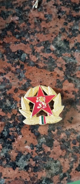 Insignia