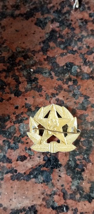 Insignia
