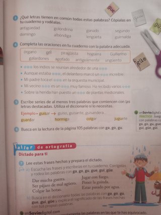 Libro lengua Sm