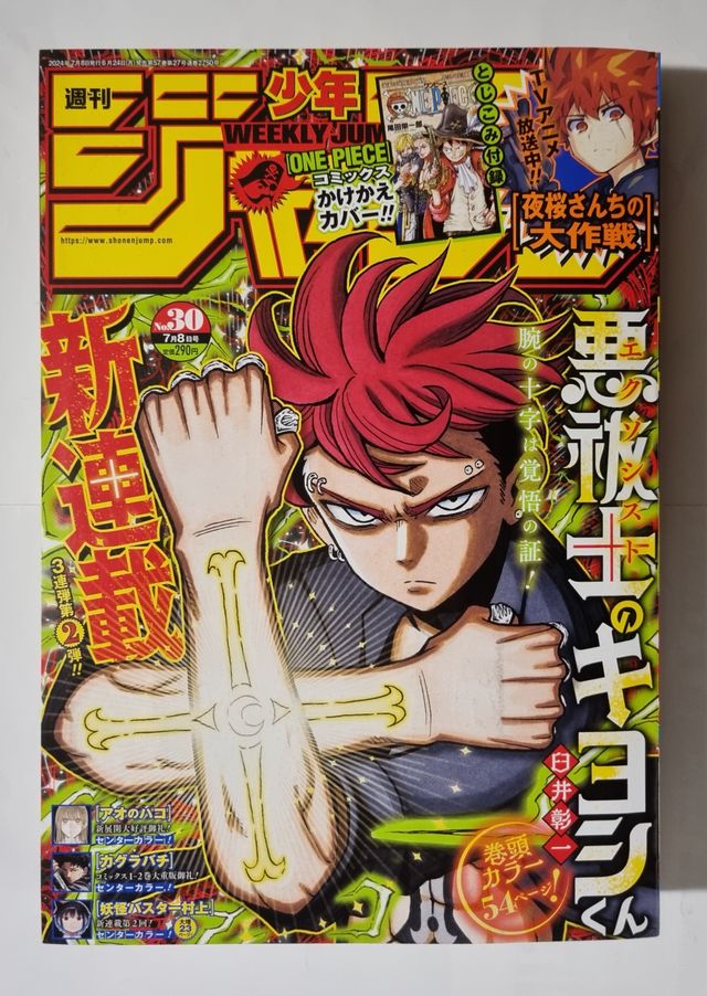 Weekly Shonen Jump 30 2024 One Piece Variant Cover