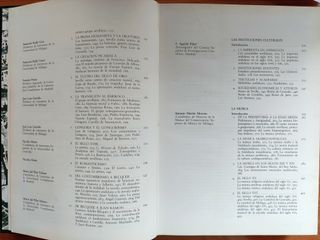 Historia de Andalucía. La Cultura Andaluza.