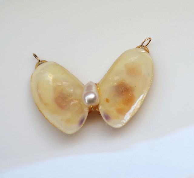 Colgantes conchas de mar y perlas