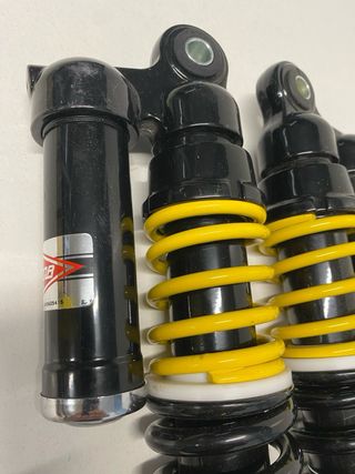 Amortiguadores Betor Gas de 35 cm