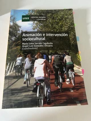 Animacion e intervencion socicultural