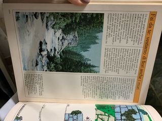 Enciclopedia fiori , piante e giardini