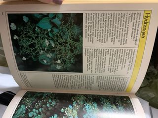 Enciclopedia fiori , piante e giardini