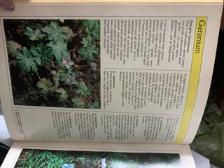 Enciclopedia fiori , piante e giardini