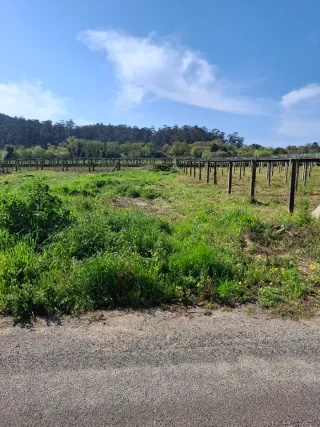 Terreno rustico en venta