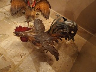 Coppia galli in ferro battuto