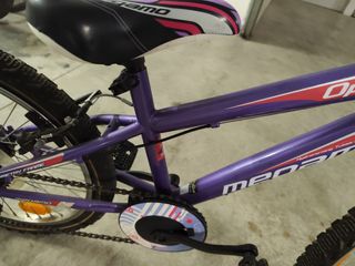 Bicicleta niña