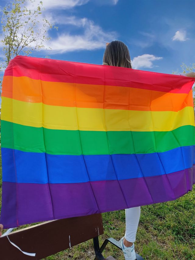 ¡¡NUEVA!!Bandera LGTB