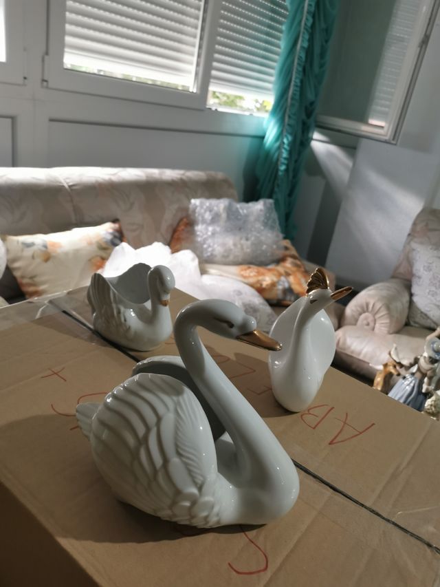 Cisnes porcelana