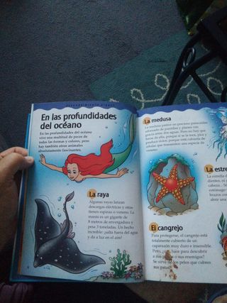 Libro infantil