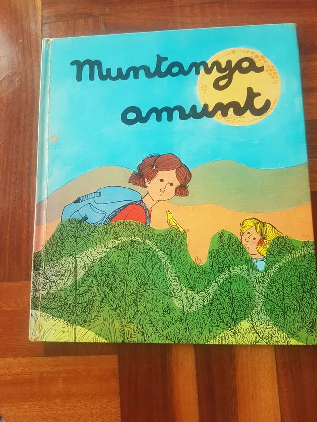 Muntanya amunt