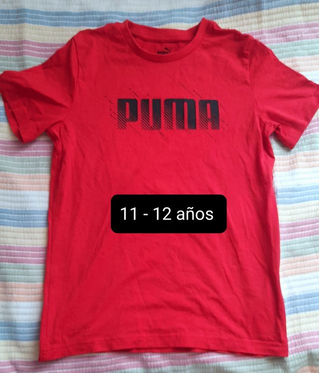 Lote de chándal y pantalon corto 9- 12 años