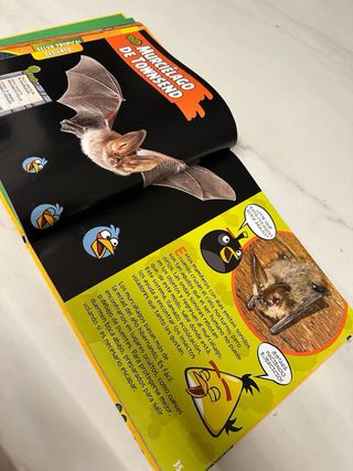 Libro Angry Birds Playground (Animales)