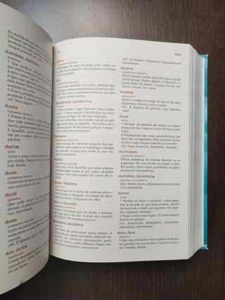 Diccionario Xerais de primaria