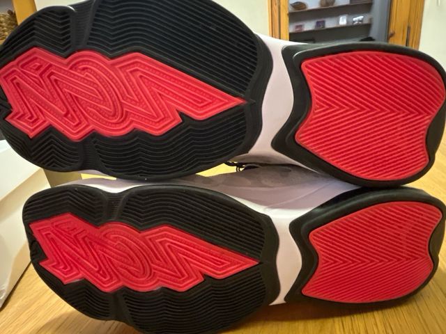 Jordan Zoom Air ZION 2