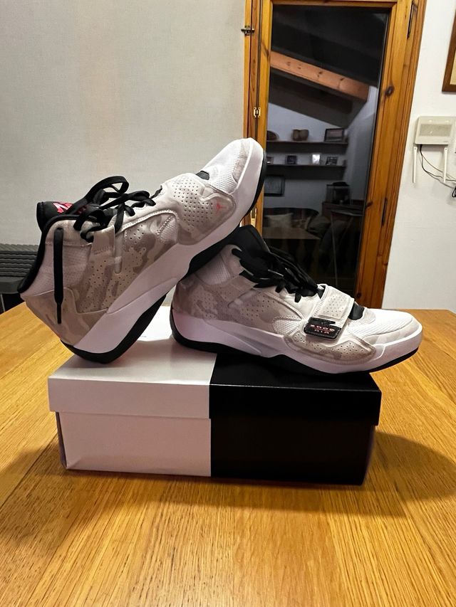 Jordan Zoom Air ZION 2