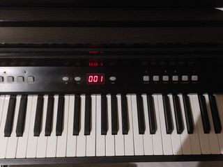 Piano Steyson Concert || + Banqueta 