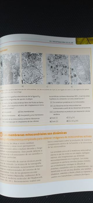 Biología programa IB Oxford