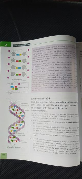 Biología programa IB Oxford