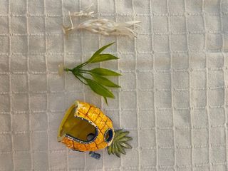 Accesorio pecera 