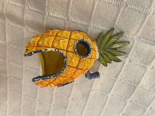 Accesorio pecera 