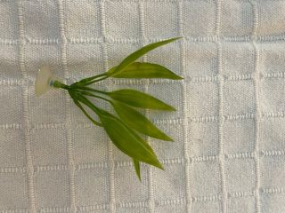 Accesorio pecera 
