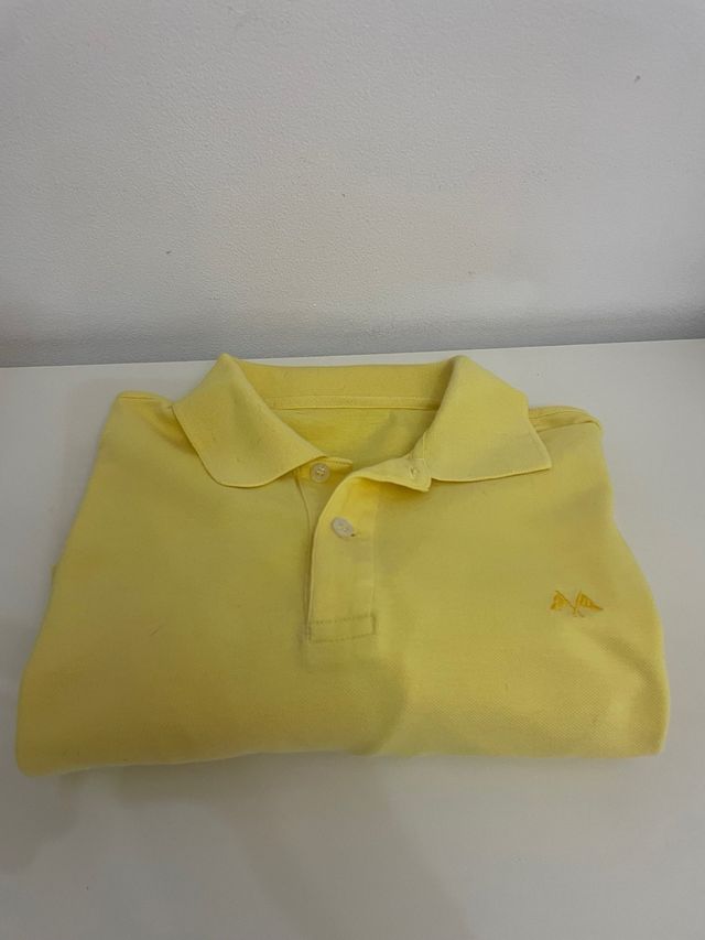 Polo Thomas Burberry
