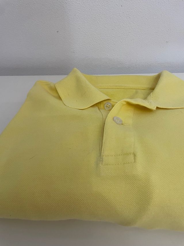 Polo Thomas Burberry