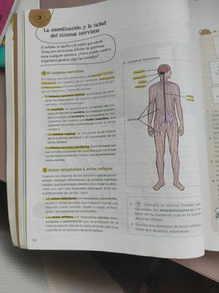 Libro ciencias naturales Anaya 6⁰