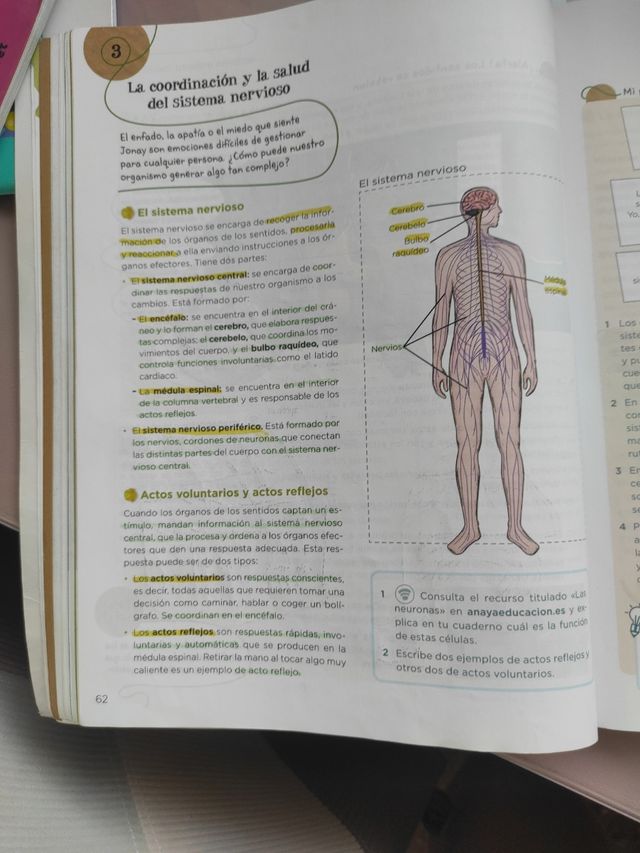 Libro ciencias naturales Anaya 6⁰